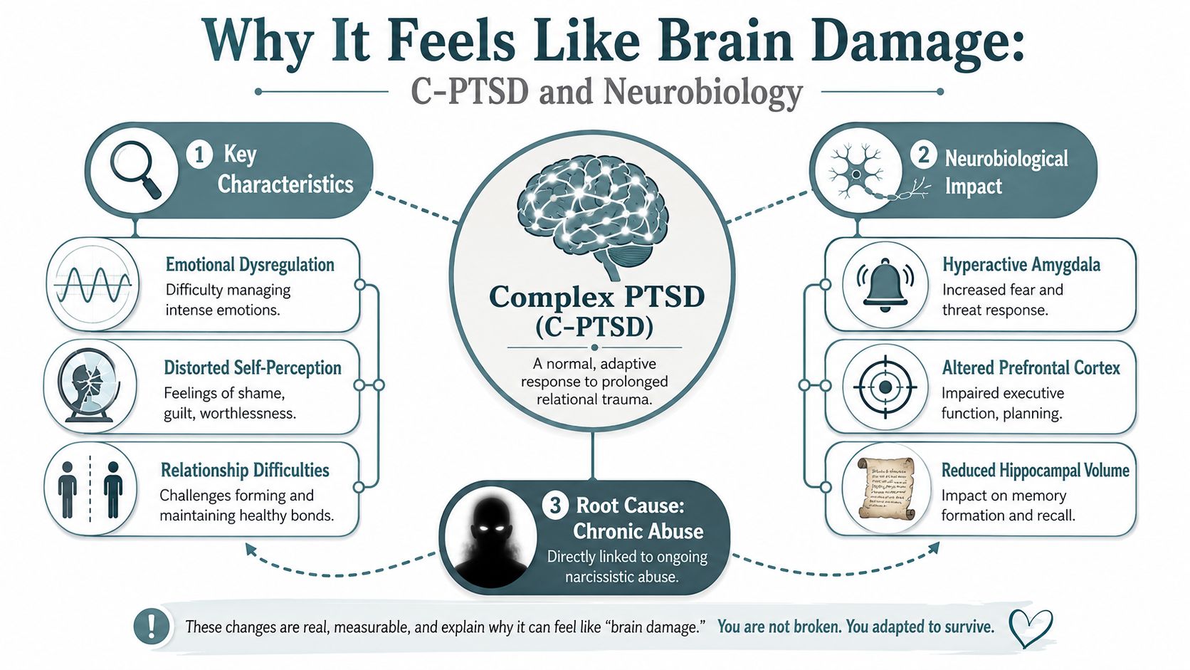 An infographic illustrating the neurobiological impact of complex PTSD caused by long-term narcissistic abuse on the brain.