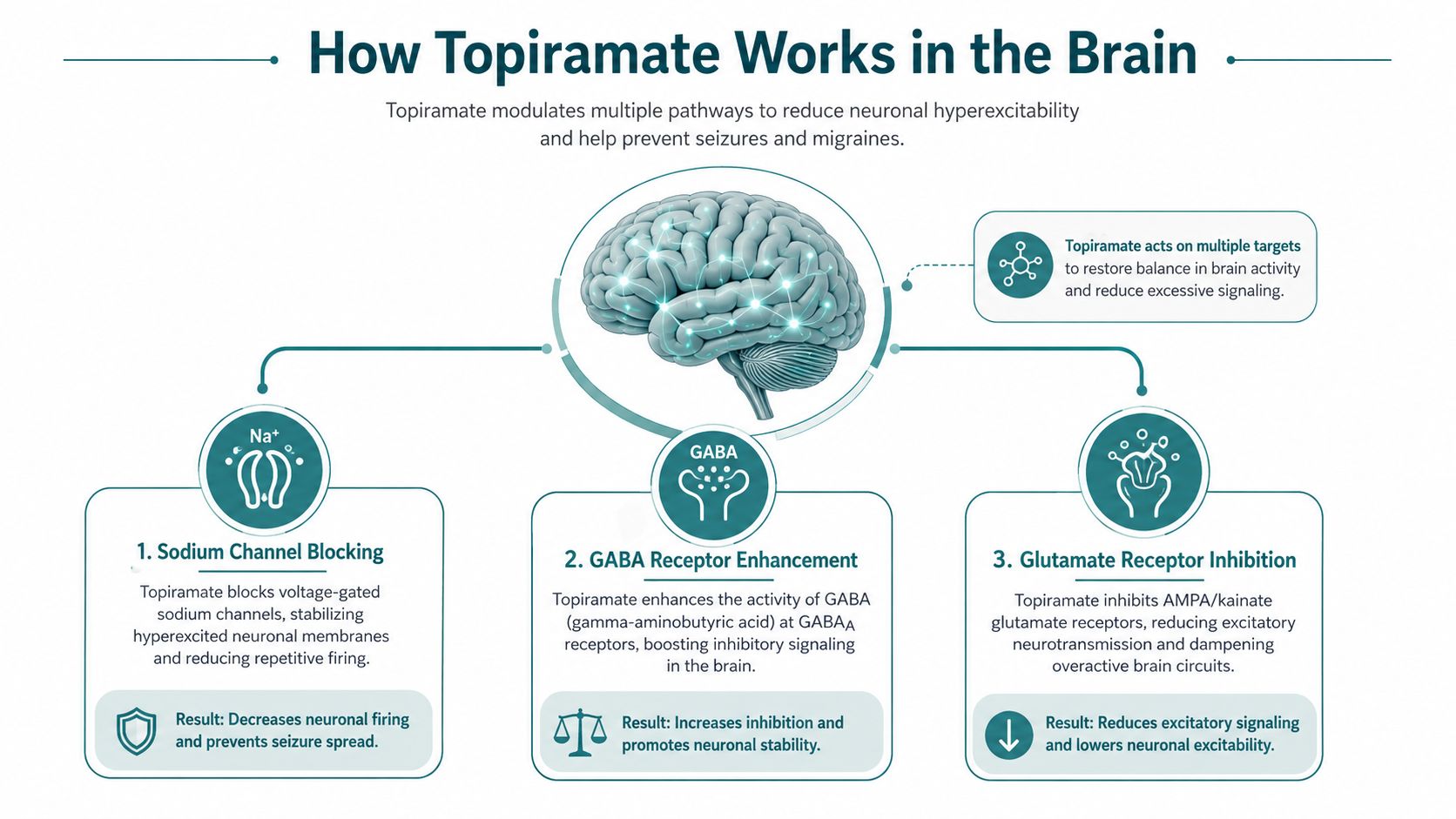 An infographic illustrating how topiramate works in the brain by modulating pathways to reduce neuronal hyperexcitability.
