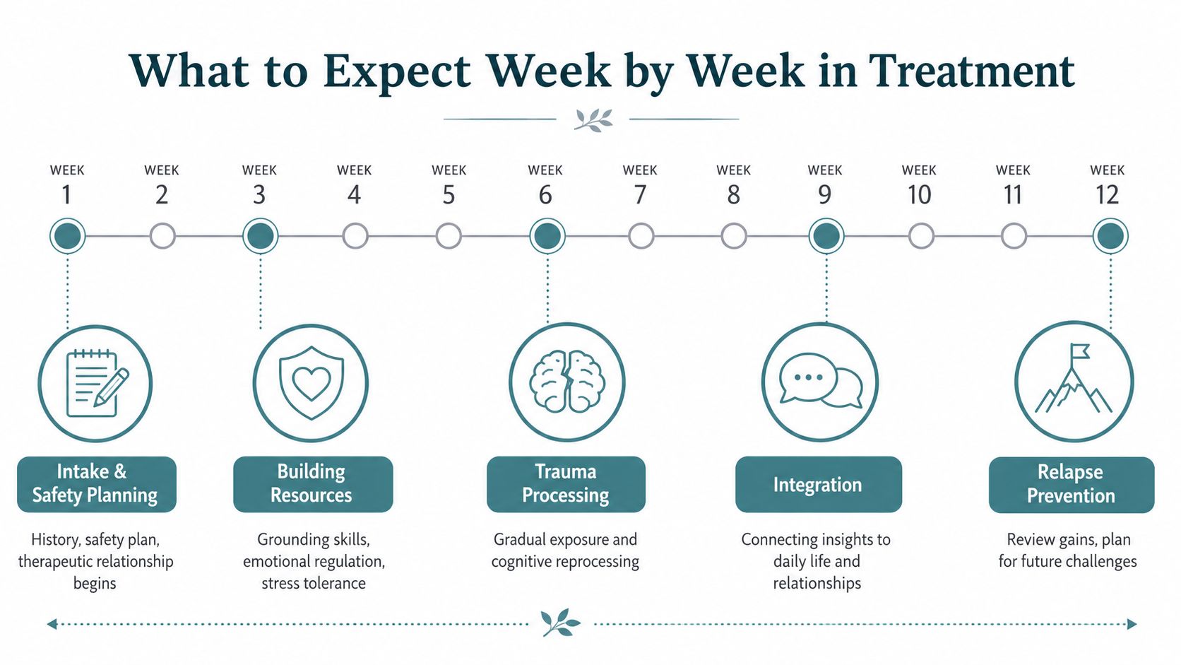 A twelve-week infographic timeline outlining the step-by-step phases of trauma therapy for adults.