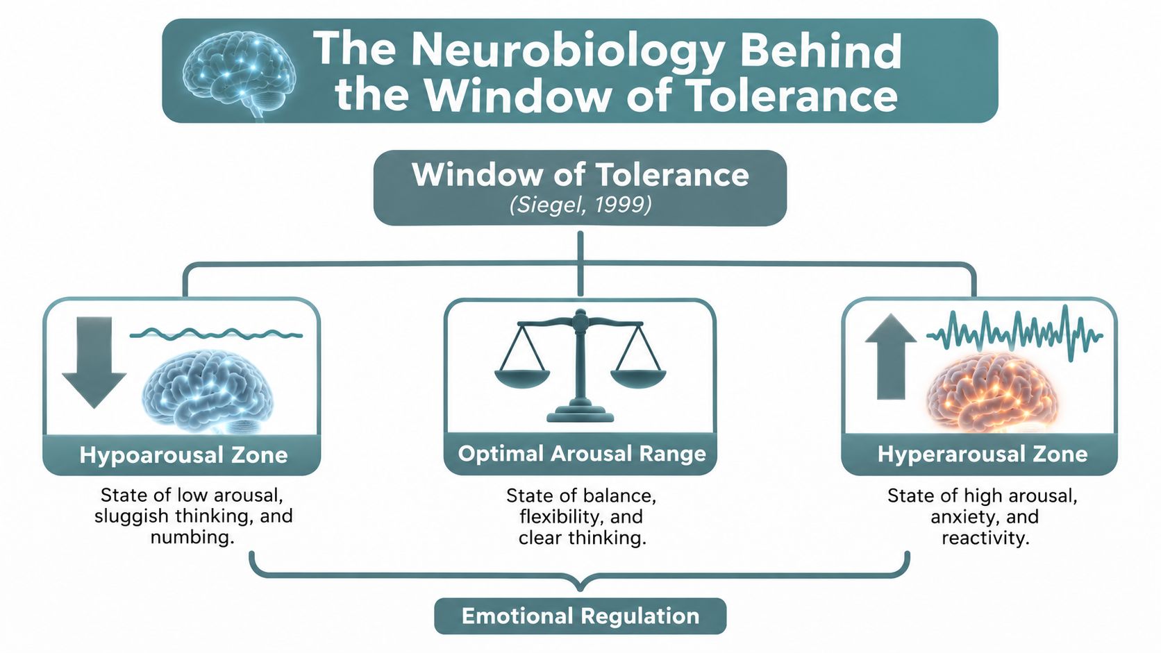 A diagram illustrating the Window of Tolerance model, showing hypoarousal, optimal arousal, and hyperarousal zones.
