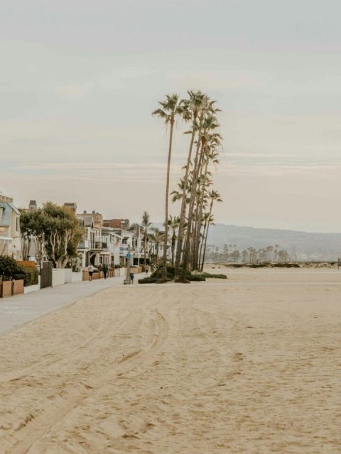 white and brown house near palm trees on beach during daytime